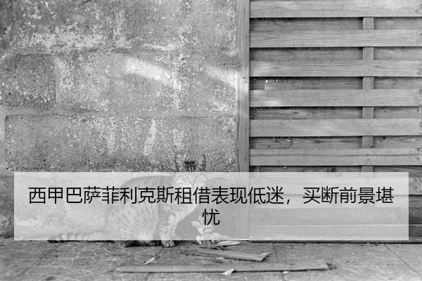 xi-jia-ba-sa-fei-li-ke-si-zu-jie-biao-xian-di-mi-mai-duan-qian-jing-kan-you-2-775.jpg